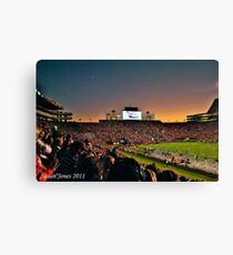 Lienzo Estadio Jordan-Hare - Universidad de Auburn