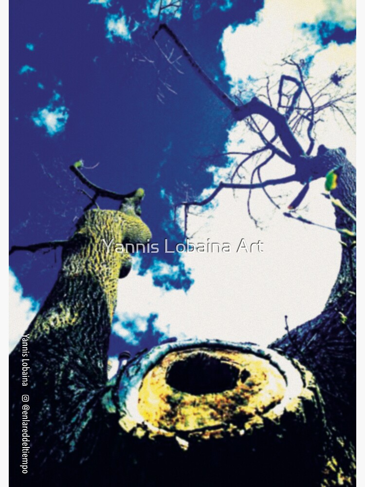 Alive By Yannis Lobaina by lobaina1979