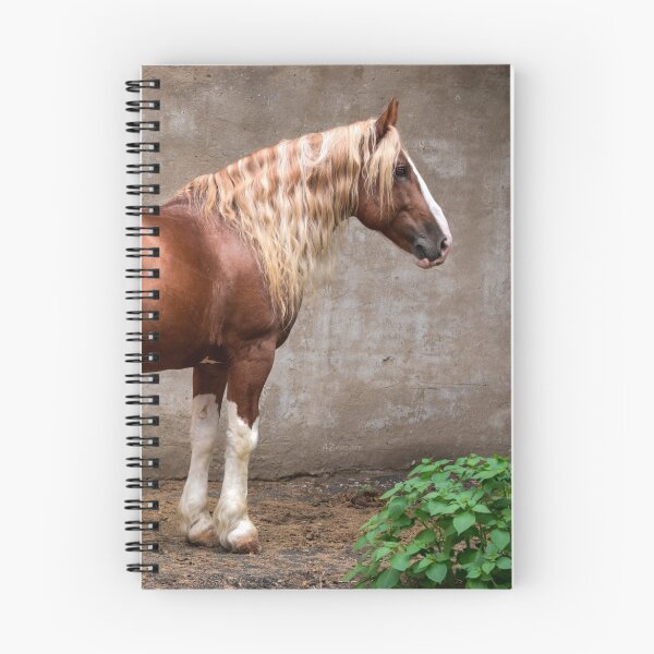 Item preview, Mostik - Semental ruso del caballo pesado designed and sold by 42beats.