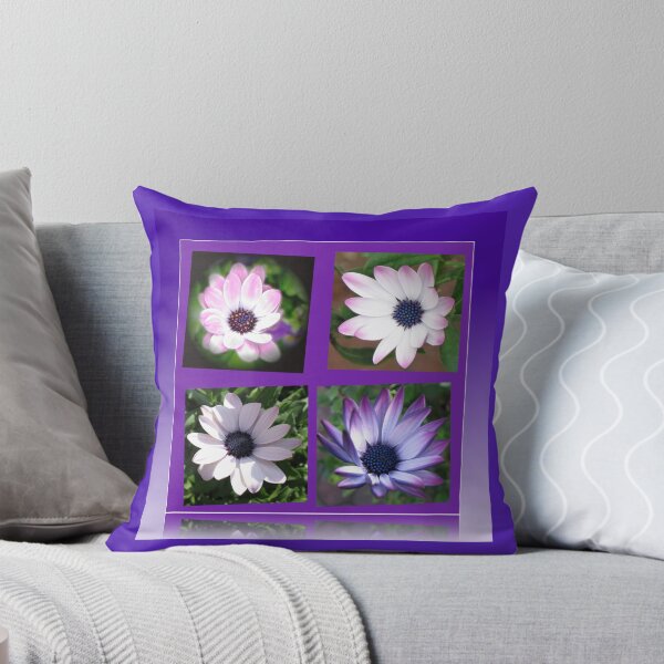 Item preview, Beautiful Dreamers -  Cape Daisy Collage designed and sold by BlueMoonRose.