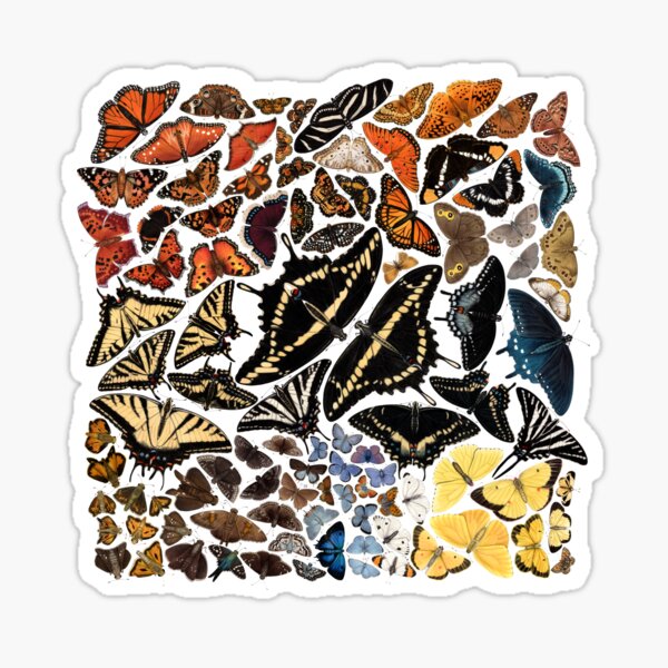 Item preview, Butterflies of North America designed and sold by JadaFitch.