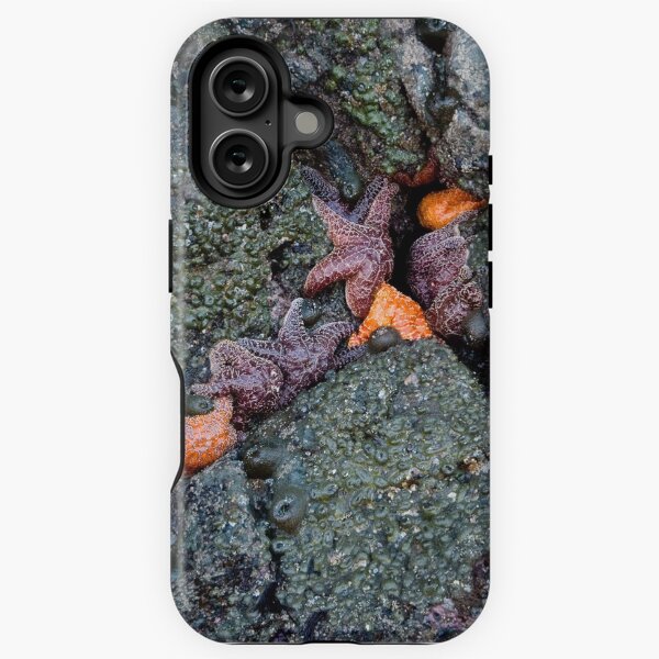 Item preview, orange and purple starfish on the oregon coast designed and sold by jeliza.