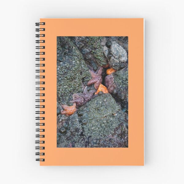 Item preview, orange and purple starfish on the oregon coast designed and sold by jeliza.