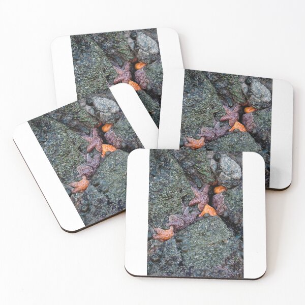 Item preview, orange and purple starfish on the oregon coast designed and sold by jeliza.