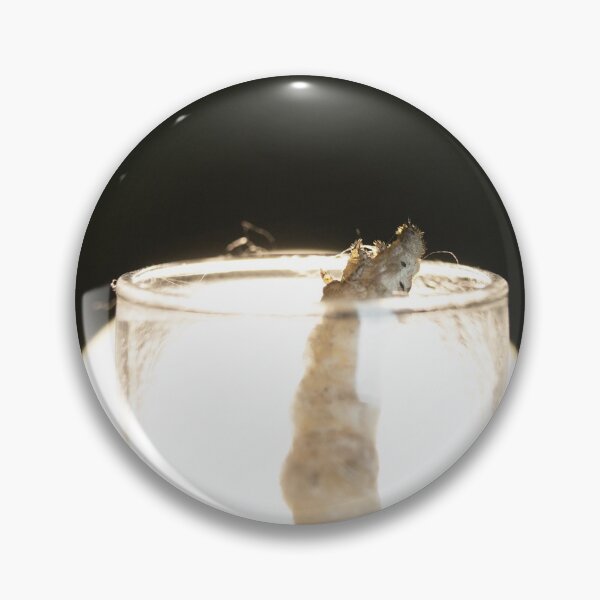 Item preview, As the sun sets - silkworm  designed and sold by nekodokai1.