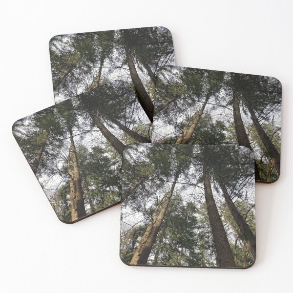 Item preview, Washington Trees designed and sold by AnnaCecile.