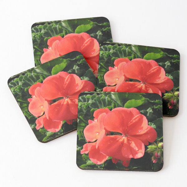 Artikelvorschau, Raindrops on Red Geranium Flowers and Bud entworfen und verkauft von BlueMoonRose.