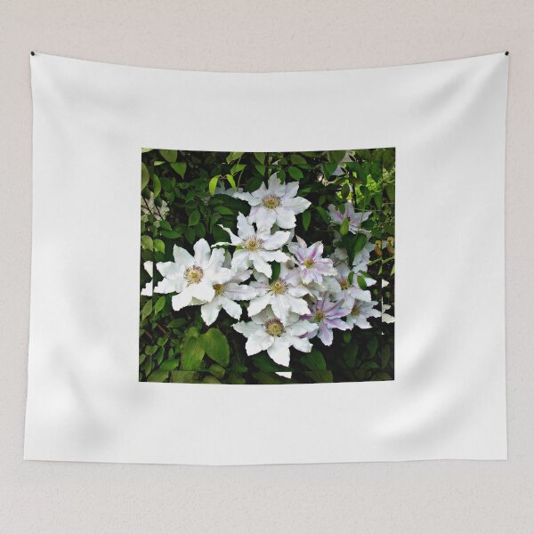 Item preview, Delicate and Exquisite - Clematis in Mirrored Frame designed and sold by BlueMoonRose.