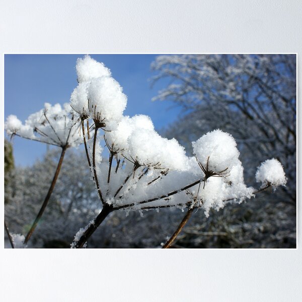 Item preview, snow on a seed head designed and sold by graceloves.