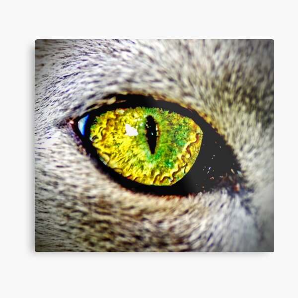 Item preview, Stare designed and sold by patcheah.
