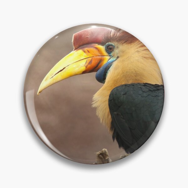 Item preview, The beak makes the bird designed and sold by steppeland.