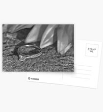 The Ring 2 Postcards
