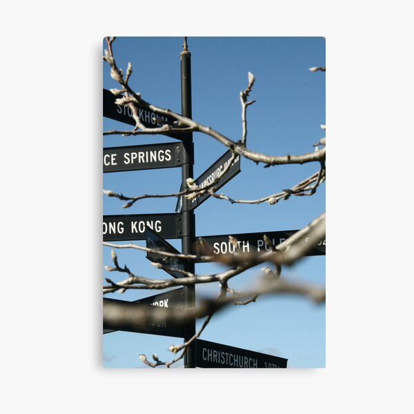 Which Way, McLaren Vale Canvas Print