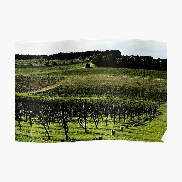 McLaren Vale Poster