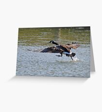 Sploosh Greeting Card