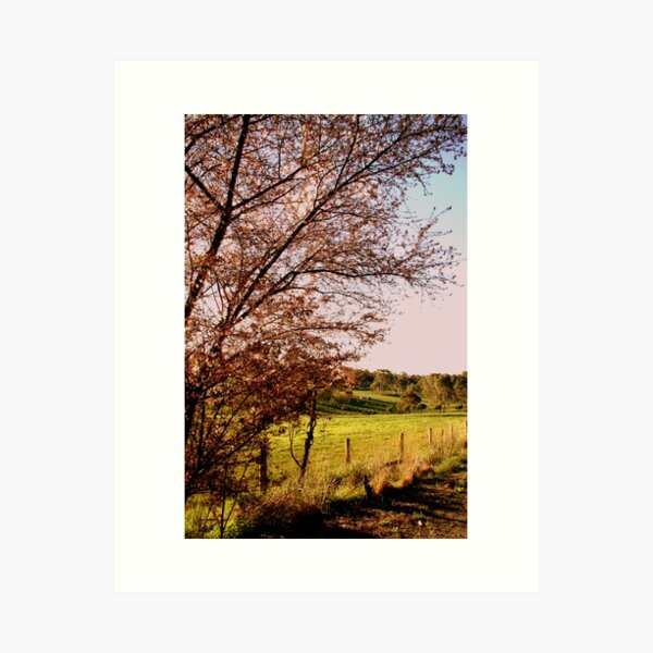 Item preview, Adelaide Hills Hues designed and sold by Camilla.