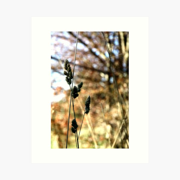 Item preview, Adelaide Hills I designed and sold by Camilla.