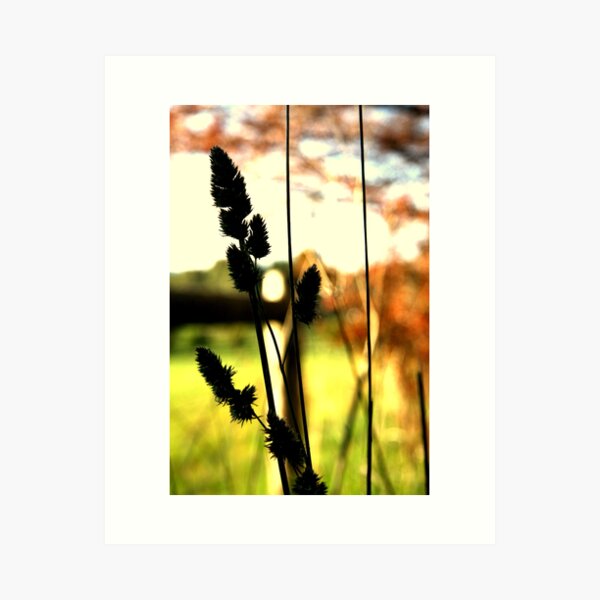 Item preview, Adelaide Hills II designed and sold by Camilla.