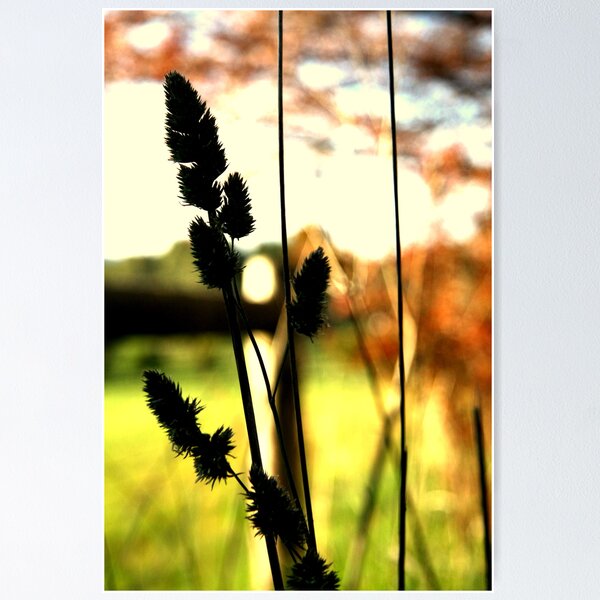 Item preview, Adelaide Hills II designed and sold by Camilla.