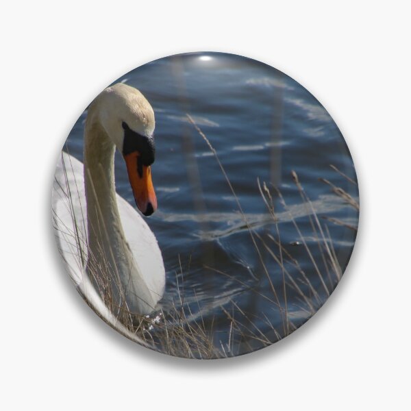 Item preview, swan behind the grass designed and sold by Perggals© - Stacey Turner.