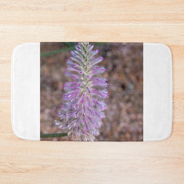 Item preview, Tall Mulla Mulla (Ptilotus exaltatus) designed and sold by DPalmer.