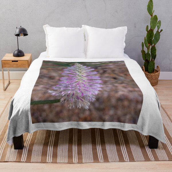 Item preview, Tall Mulla Mulla (Ptilotus exaltatus) designed and sold by DPalmer.