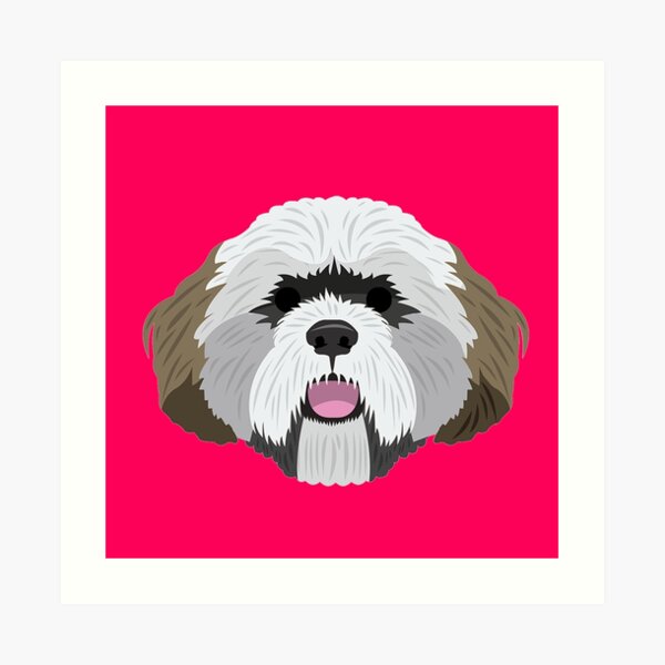 Lhasa Apso Art Print
