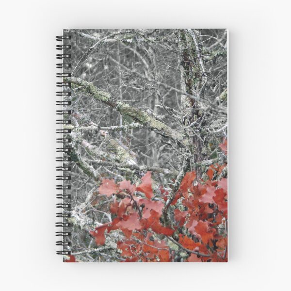 Item preview, Fall Foilage designed and sold by WisePhoto.