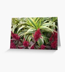 A bright colourful parade Greeting Card