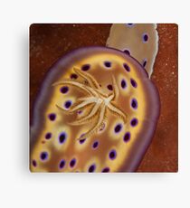 Nudi Canvas Print
