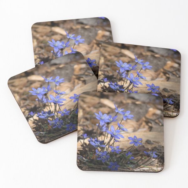 Item preview, Blue wood anemone designed and sold by Nawsome Designs.