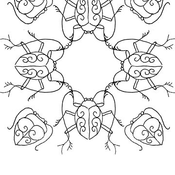 Artwork thumbnail, beetle cypher by lolita lash
