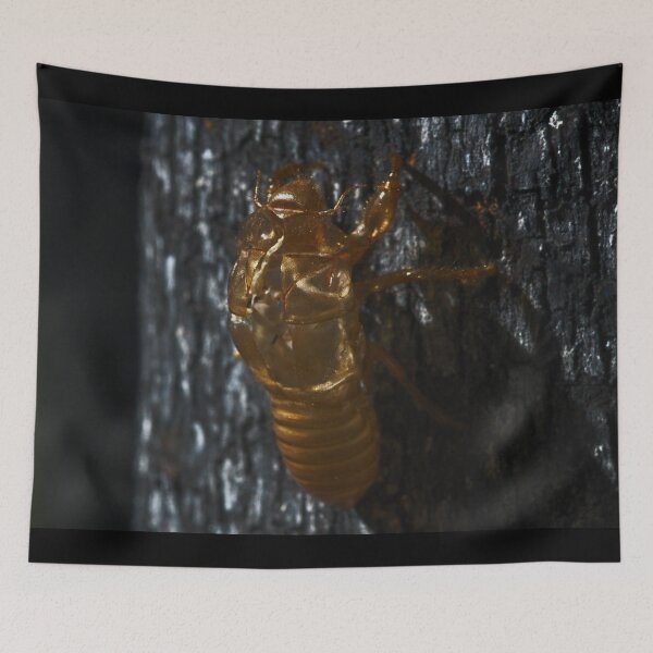 Item preview, A Macro Of A Cicada Casing designed and sold by Jason Gilbert.