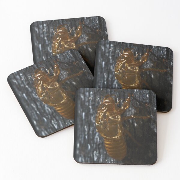 Item preview, A Macro Of A Cicada Casing designed and sold by Jason Gilbert.