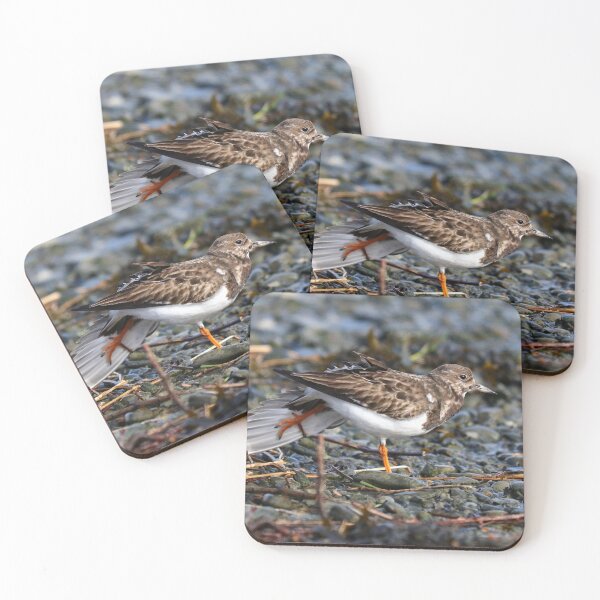 Item preview, Turnstone stretch designed and sold by GreyFeatherPhot.