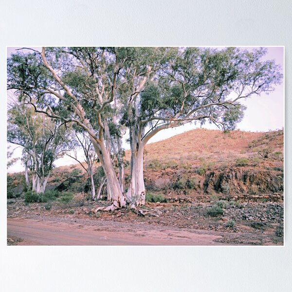 Item preview, A breath of fresh air in the Flinders Ranges designed and sold by imaginethis.