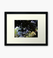 colours Framed Print