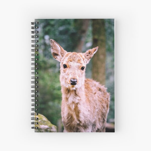Cerf de Nara Cahier à spirale