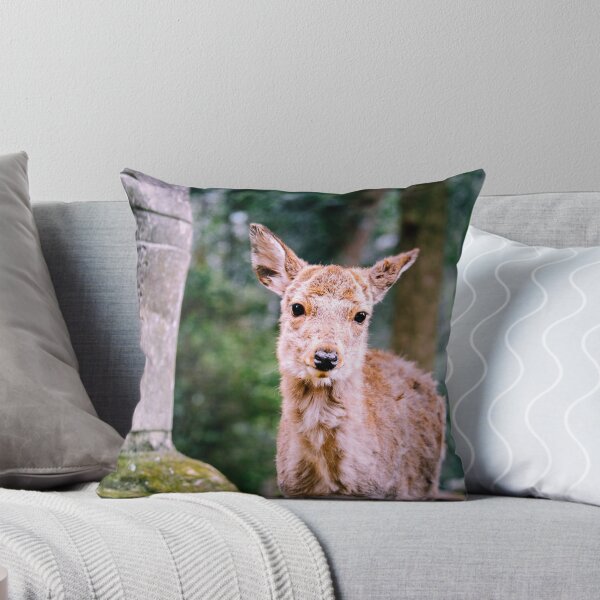 Cerf de Nara Coussin