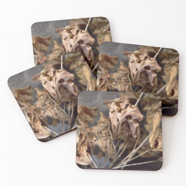Item preview, Withered designed and sold by Alexandra Lavizzari.