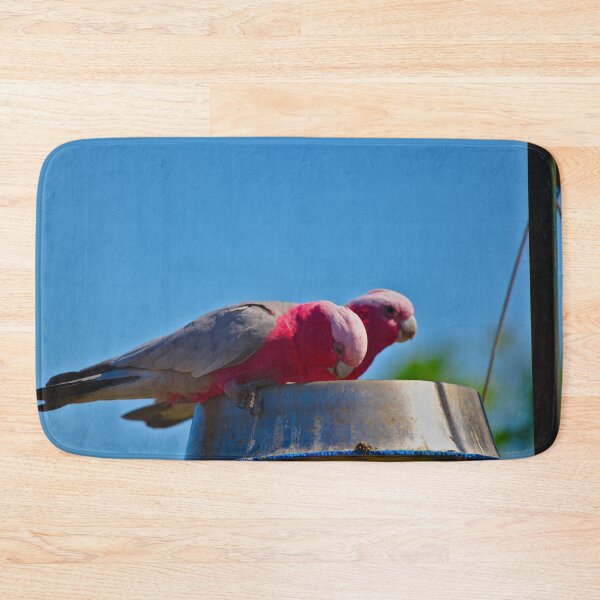 Item preview, Two Pink And Grey Galahs Feeding On Seed designed and sold by Jason Gilbert.