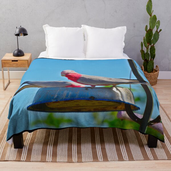 Item preview, A Pair of Pink And Grey Galahs Feeding In A Garden designed and sold by Jason Gilbert.
