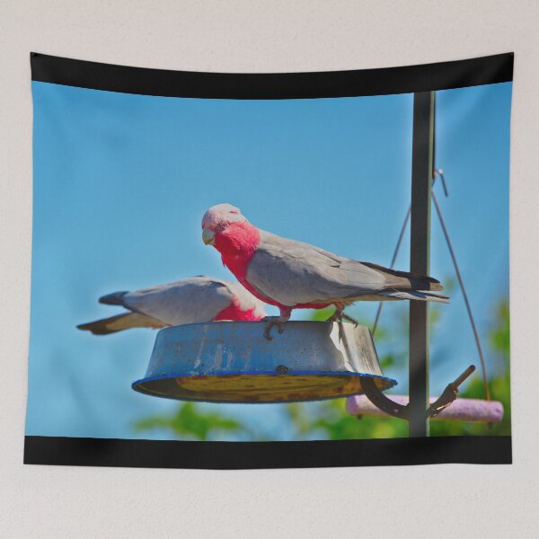 Item preview, A Pair of Pink And Grey Galahs Feeding In A Garden designed and sold by Jason Gilbert.