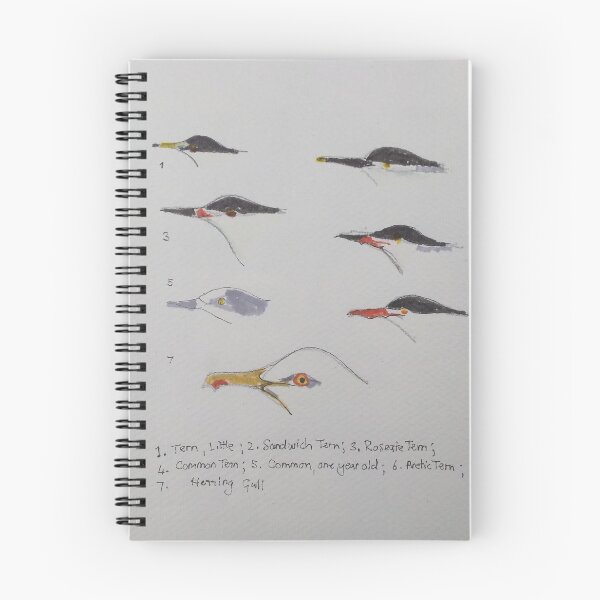 Item preview, SEA BIRDS designed and sold by ANN KELLEY.