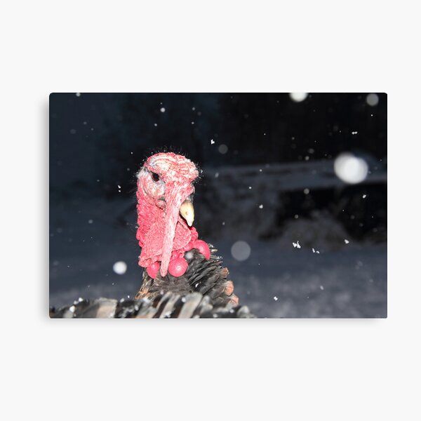 Fa la la la la, la la la la Canvas Print