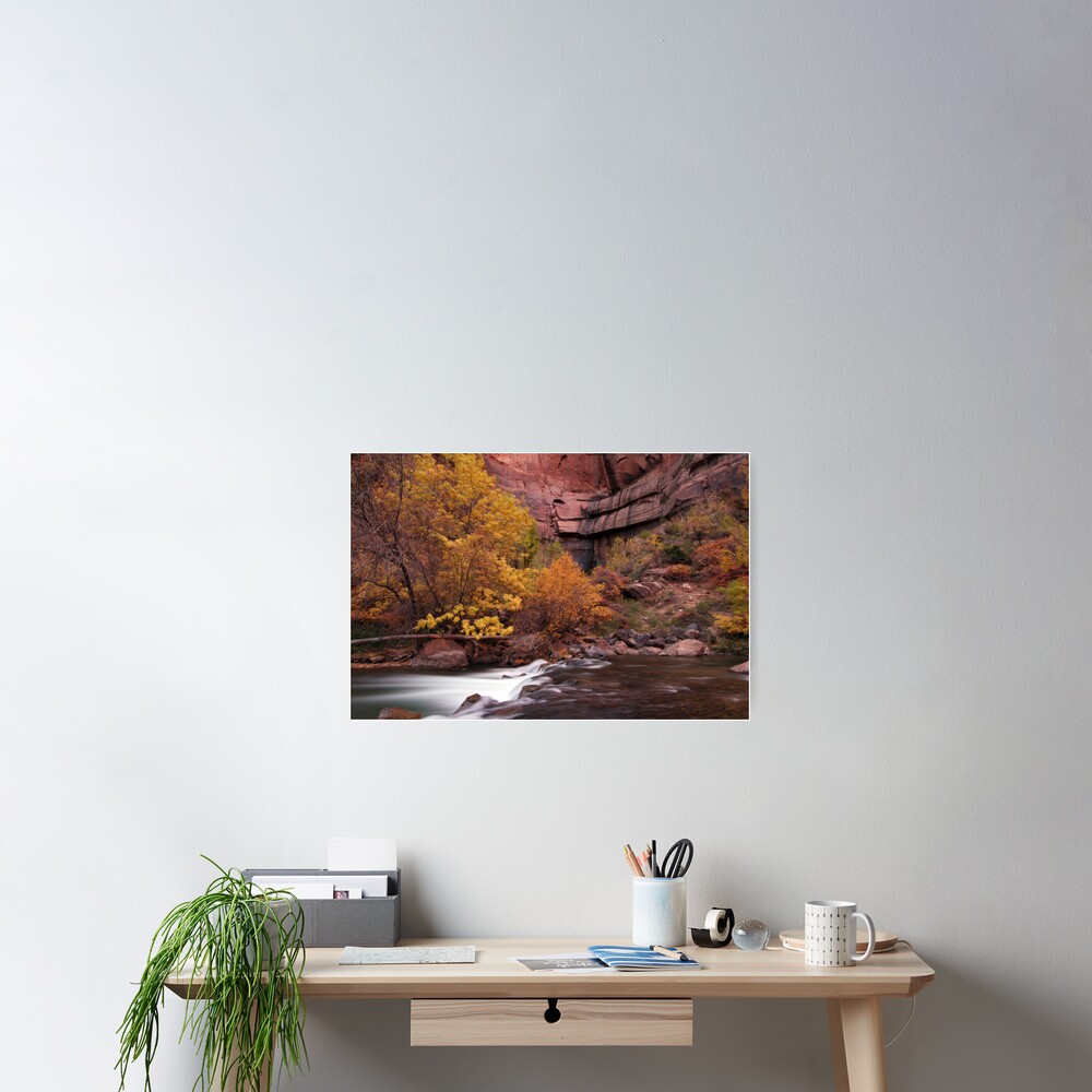 Fall Colors in Zion's Temple of Sinawava Poster