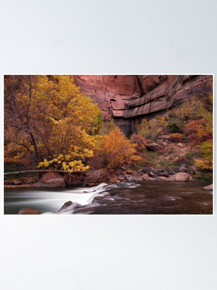 Alternate view of Fall Colors in Zion's Temple of Sinawava Poster