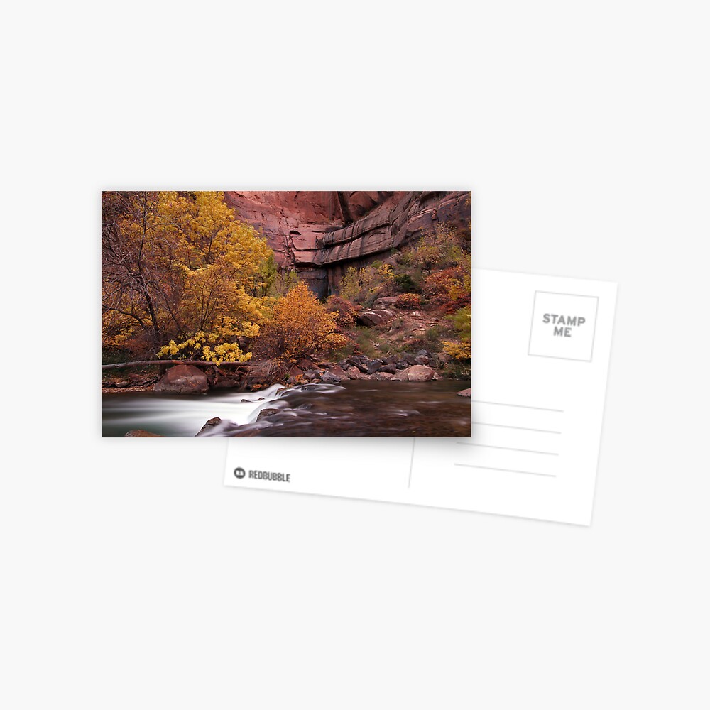 Fall Colors in Zion's Temple of Sinawava Postcard