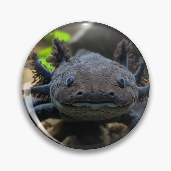 Item preview, Axolotl designed and sold by rootedrender.