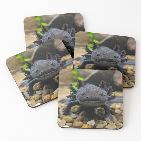 Item preview, Axolotl designed and sold by rootedrender.